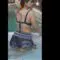 देखें Sarwari Gujar BF Video Sexy: सरवरी गुजर के सेक्सी वीडियो का धमाल